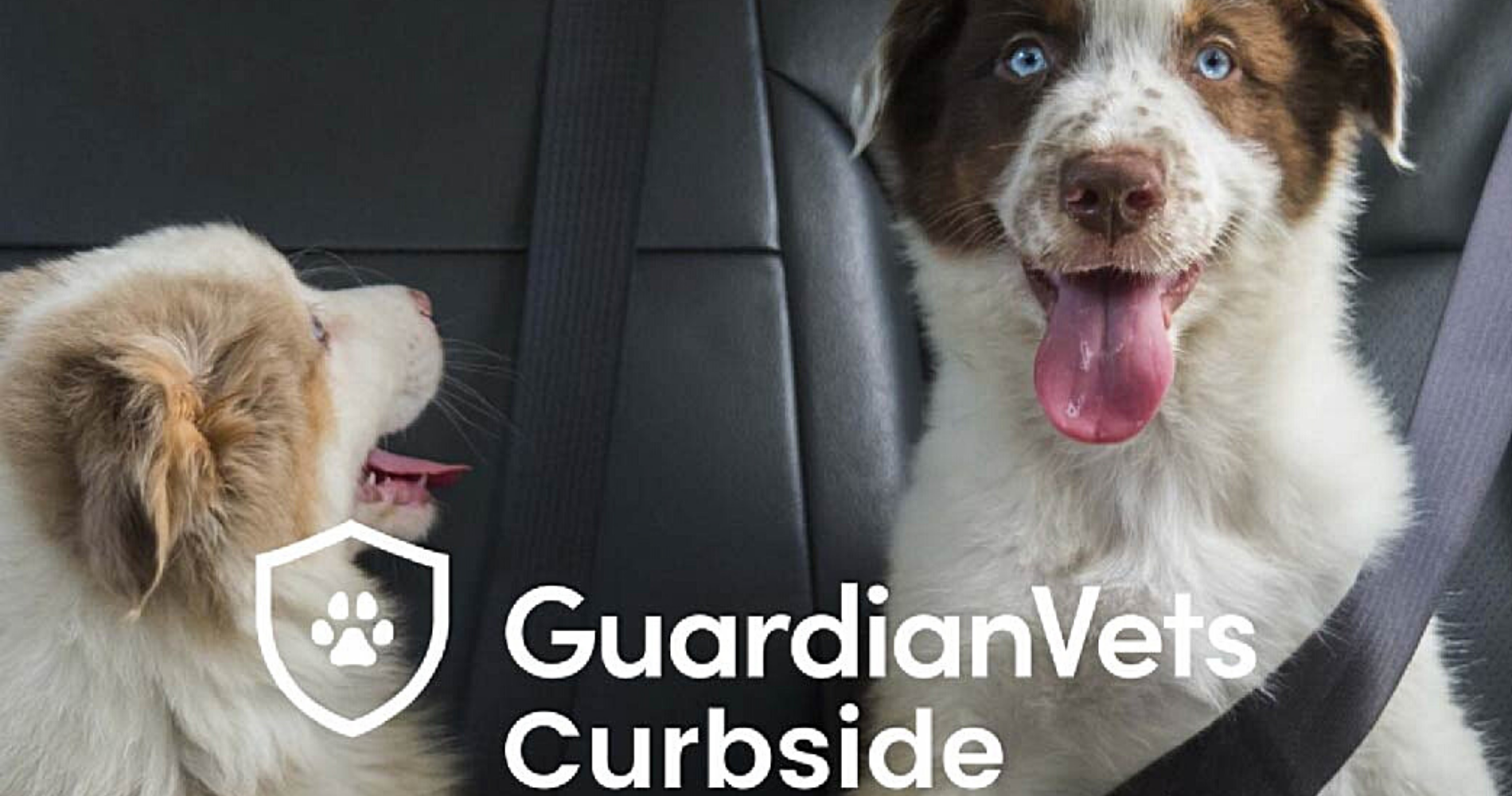 GuardianVets Launches Curbside, Contactless Appointments for Pet Owners